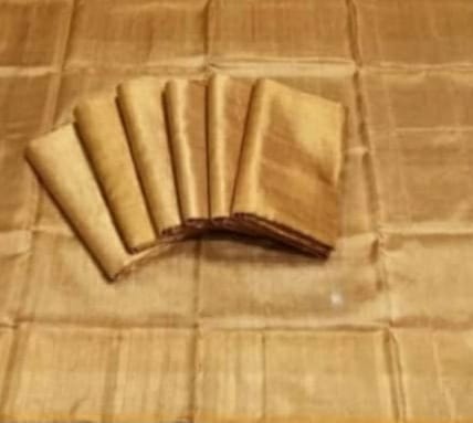 Full Gold Uppada Tissue Saree